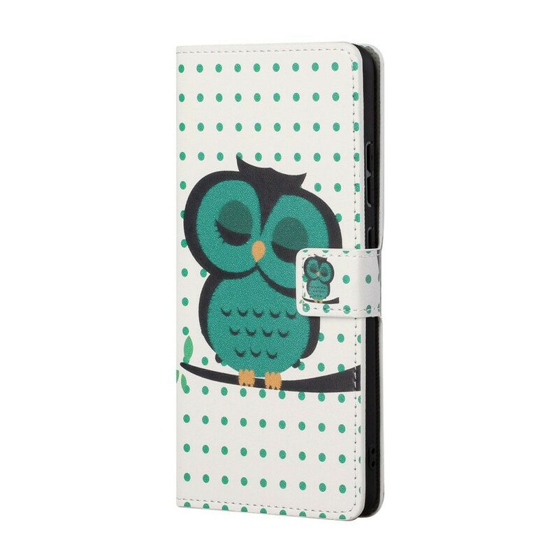 Folio-hoesje voor Samsung Galaxy S21 5G Slapende Uil