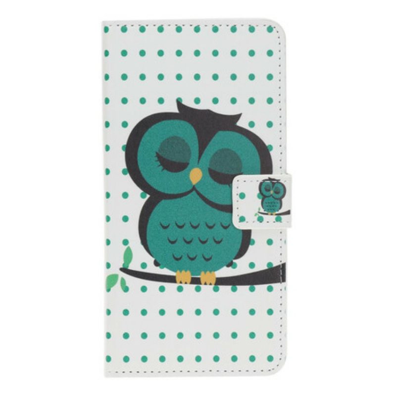 Folio-hoesje voor iPhone 12 / 12 Pro Slapende Uil