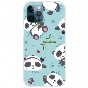 Hoesje voor iPhone 14 Pro Max Stelletje Panda's