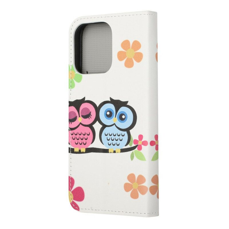 Flip Case voor iPhone 13 Pro Paar Uilen