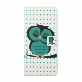 Flip Case voor iPhone 13 Pro Slapende Uil