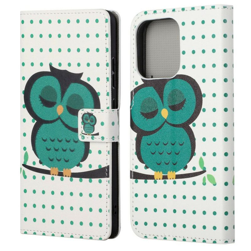 Flip Case voor iPhone 13 Pro Slapende Uil