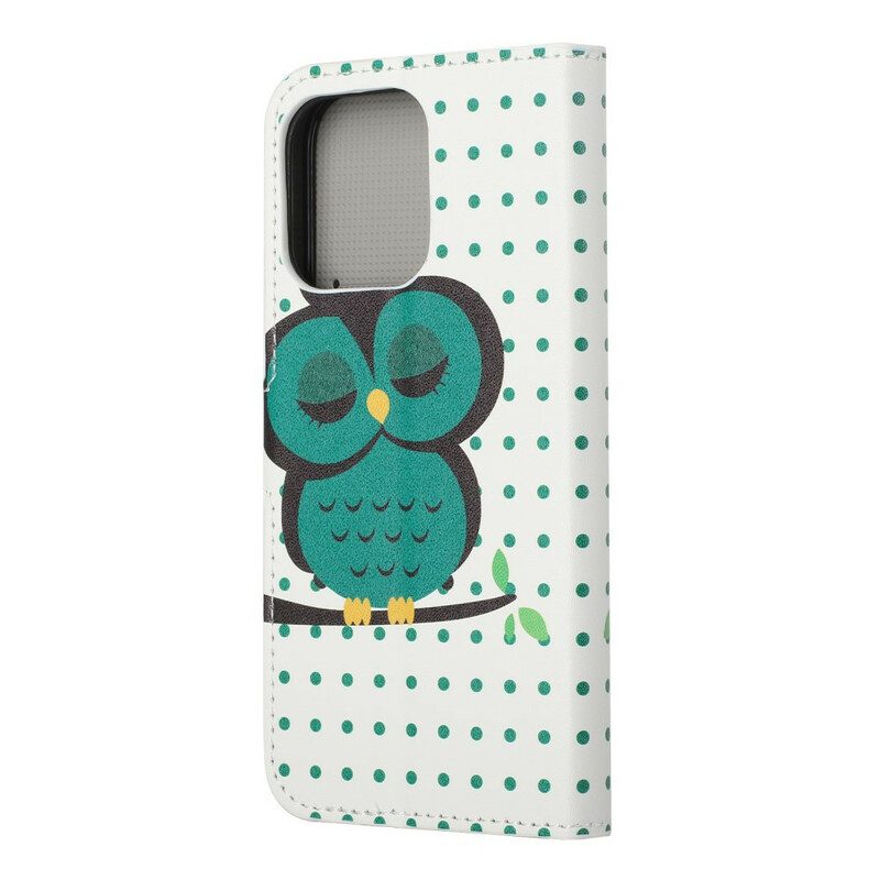 Flip Case voor iPhone 13 Pro Slapende Uil