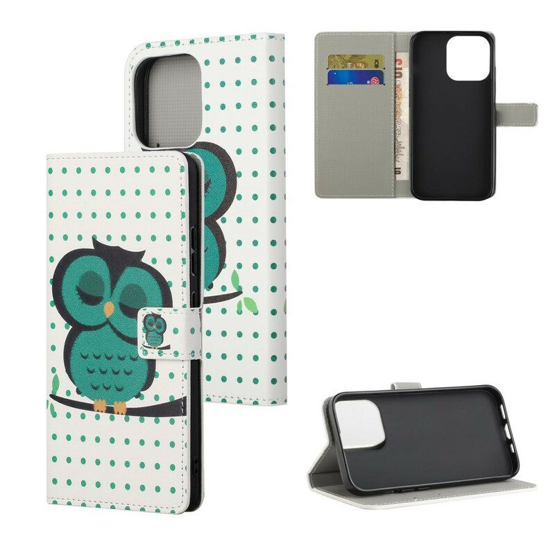 Flip Case voor iPhone 13 Pro Slapende Uil